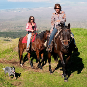Horse Ranch Ride in Central Maui