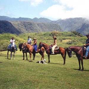 Horse Ranch Ride in Central Maui