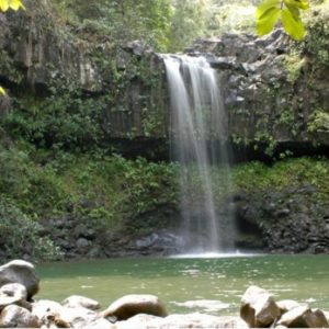 tour to hana maui