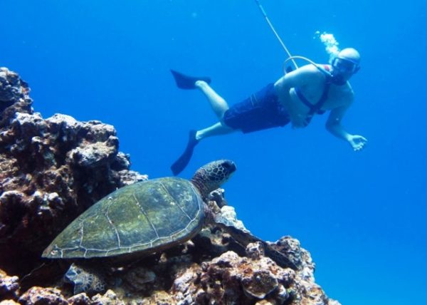 Hawaii Snuba Tours Hawaii Snuba Tours