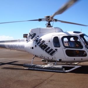 EXCLUSIVE HELICOPTER TOUR