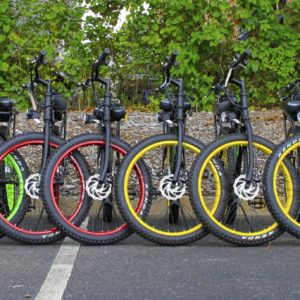 Hybrid Electrical Bicycle Rentals