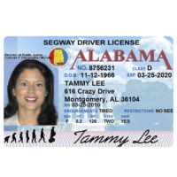 Segway Driver’s License – souvenir from Lahaina, Maui, Hawaii Red