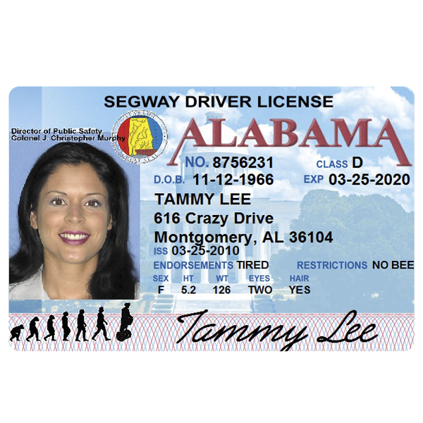 alabama driver39s license classifications alabama driver39s license classifications