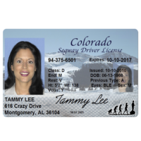 Segway Driver’s License – souvenir from Lahaina, Maui, Hawaii Red