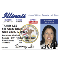 Segway Driver’s License – souvenir from Lahaina, Maui, Hawaii Red