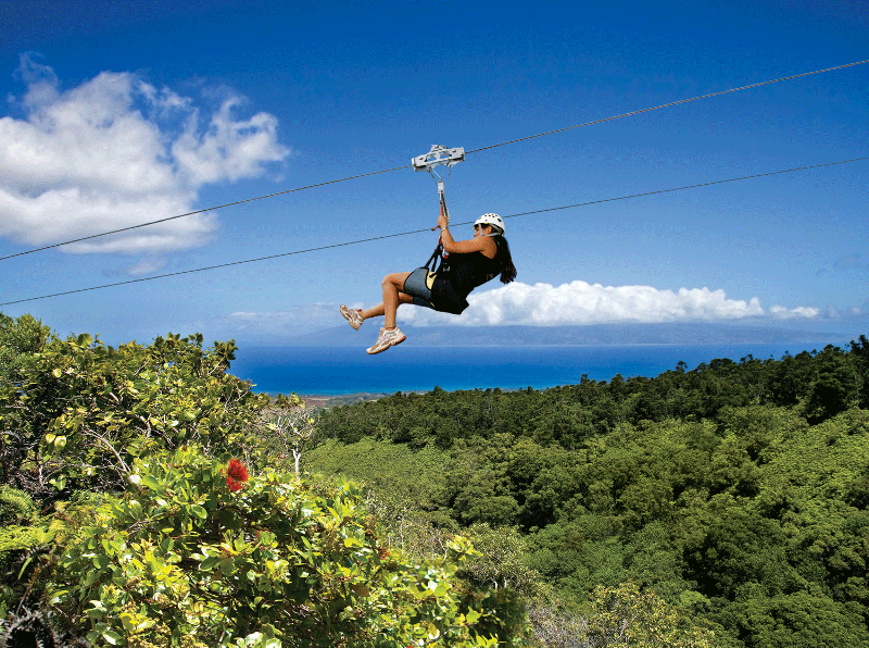 Haleakalā Sunrise & Zip Tour with Stardust Hawaii activities