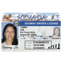 Segway Driver’s License – souvenir from Lahaina, Maui, Hawaii Red