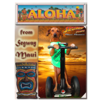 Framed photo from your Segway tour in Lahaina