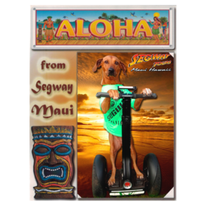 Framed photo from your Segway tour in Lahaina