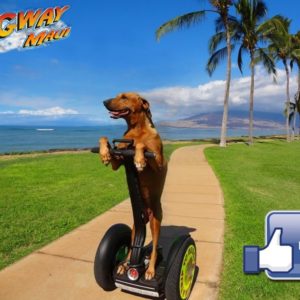 Segway Tours Maui
