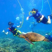 Snorkeling and sailing on Maui with Save on Maui (2)