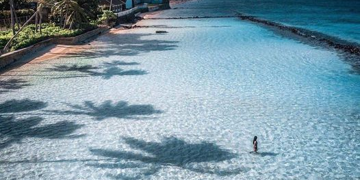 Beach View Stardust Hawaii