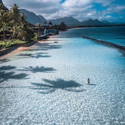 Beach View Stardust Hawaii