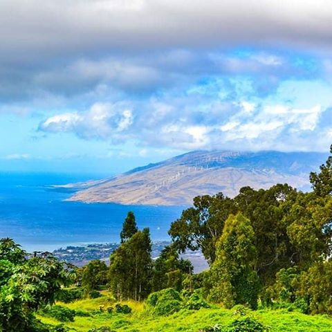 Hawaii Beauty