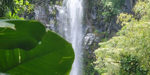 Waterfall in Hana