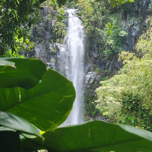 Waterfall in Hana
