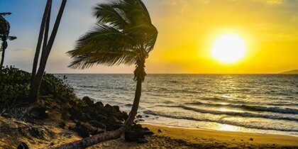 Beach Sunset