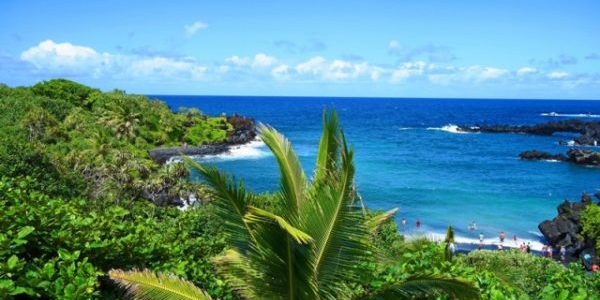 Plan an unforgettable Tours Maui