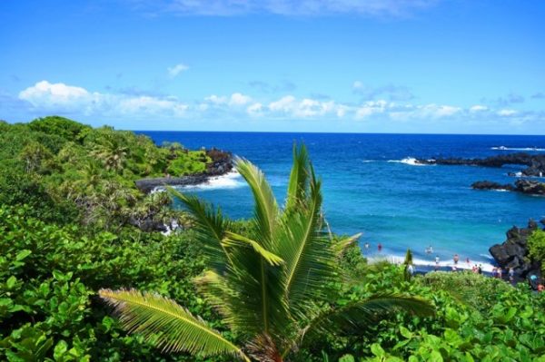 Plan an unforgettable Tours Maui