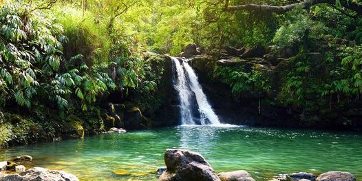 Road to Waterfalls