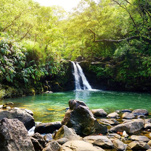 Road to Waterfalls