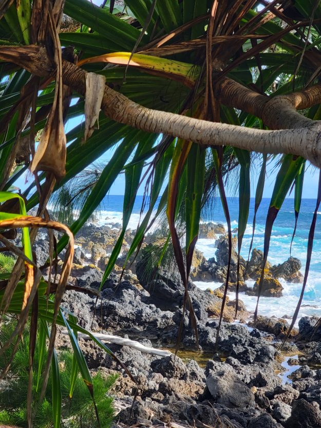 Road to Hana Trip