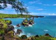 Debunking Myths About Hana