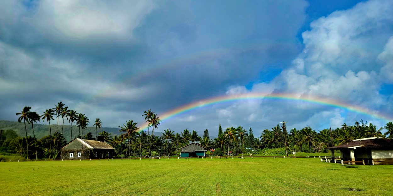 Road to Hana Tour