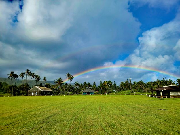 Road to Hana Tour