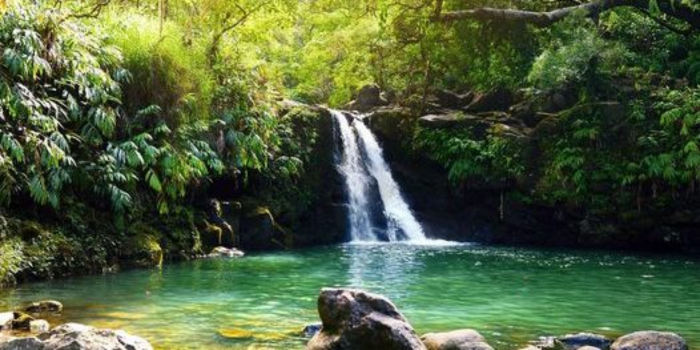 Road to Hana