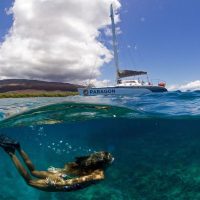 Snorkeling Tours in Maui