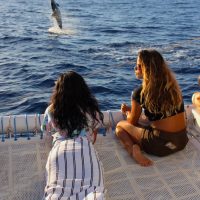 Best Maui Whale Watch