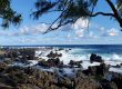 Stardust Hawaii