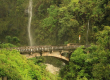 Maui Road Trip