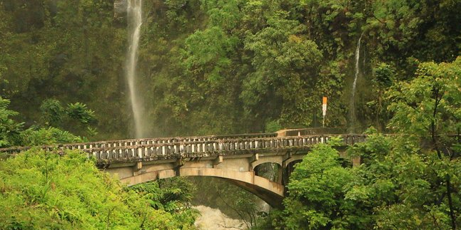 Maui Road Trip