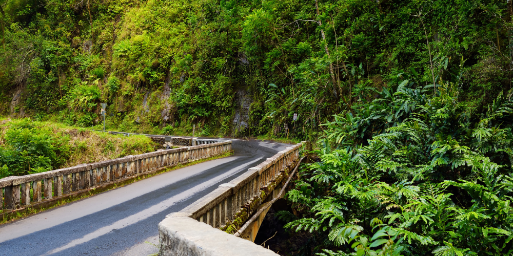 Hana Highway's Secrets