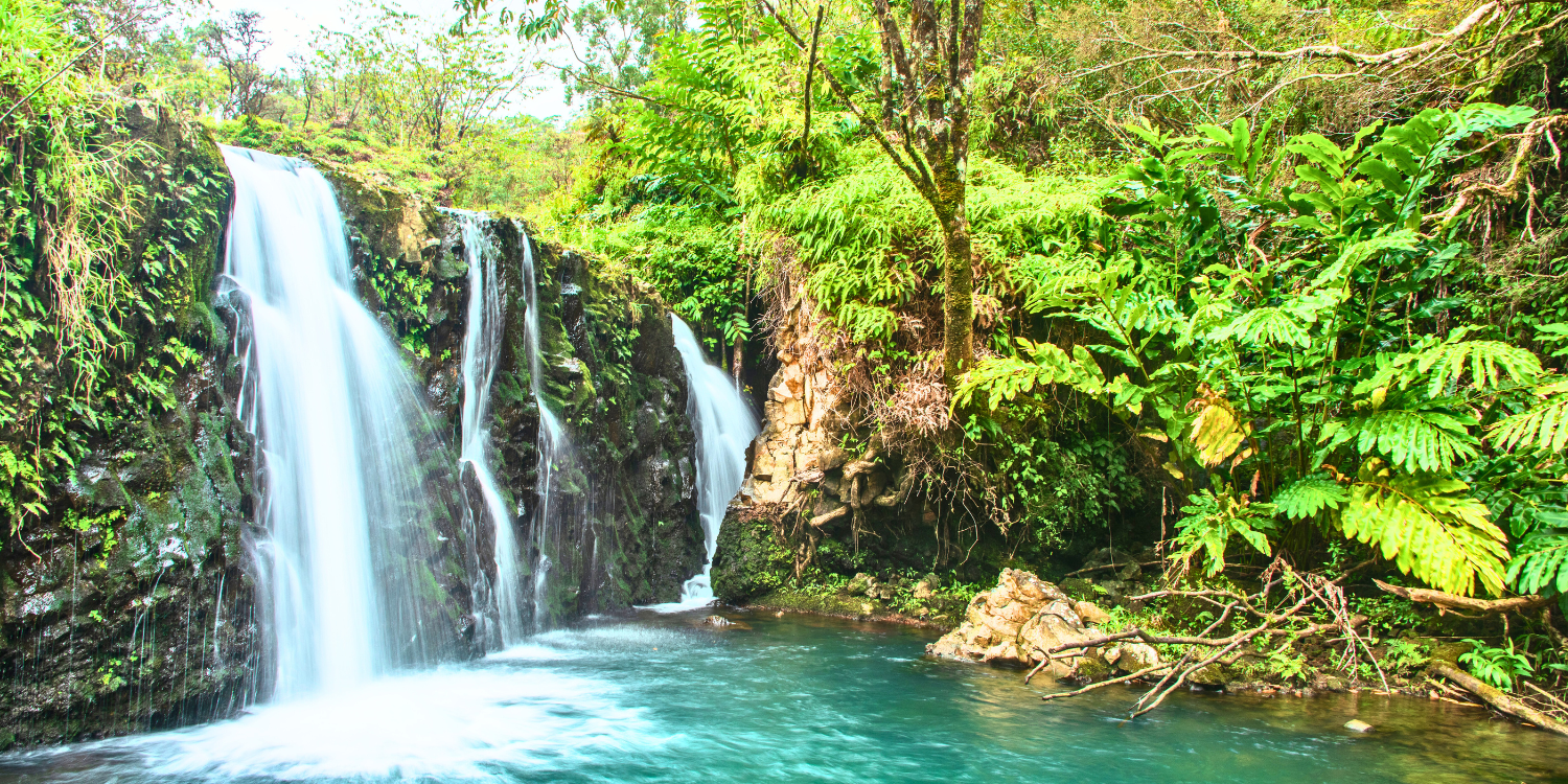 Waterfalls on Road to Hana