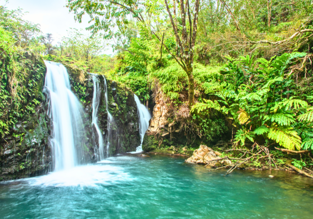 Waterfalls on Road to Hana