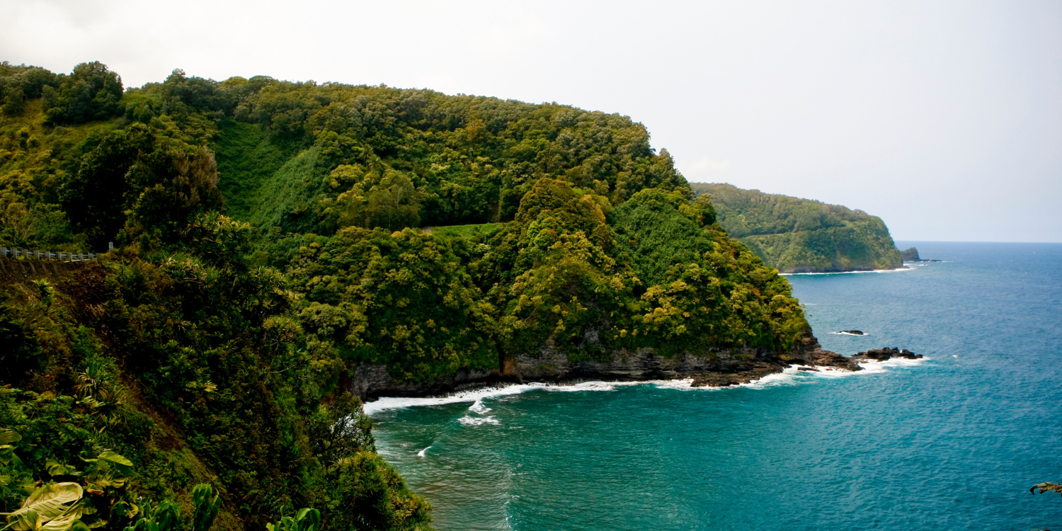 Road to Hana Tour