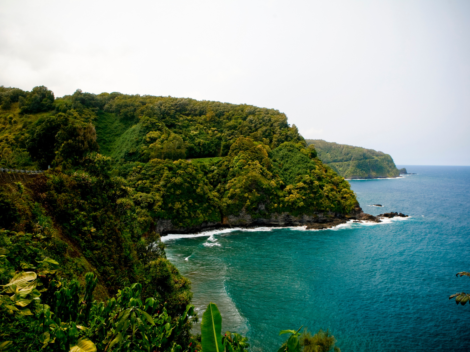 Road to Hana Tour