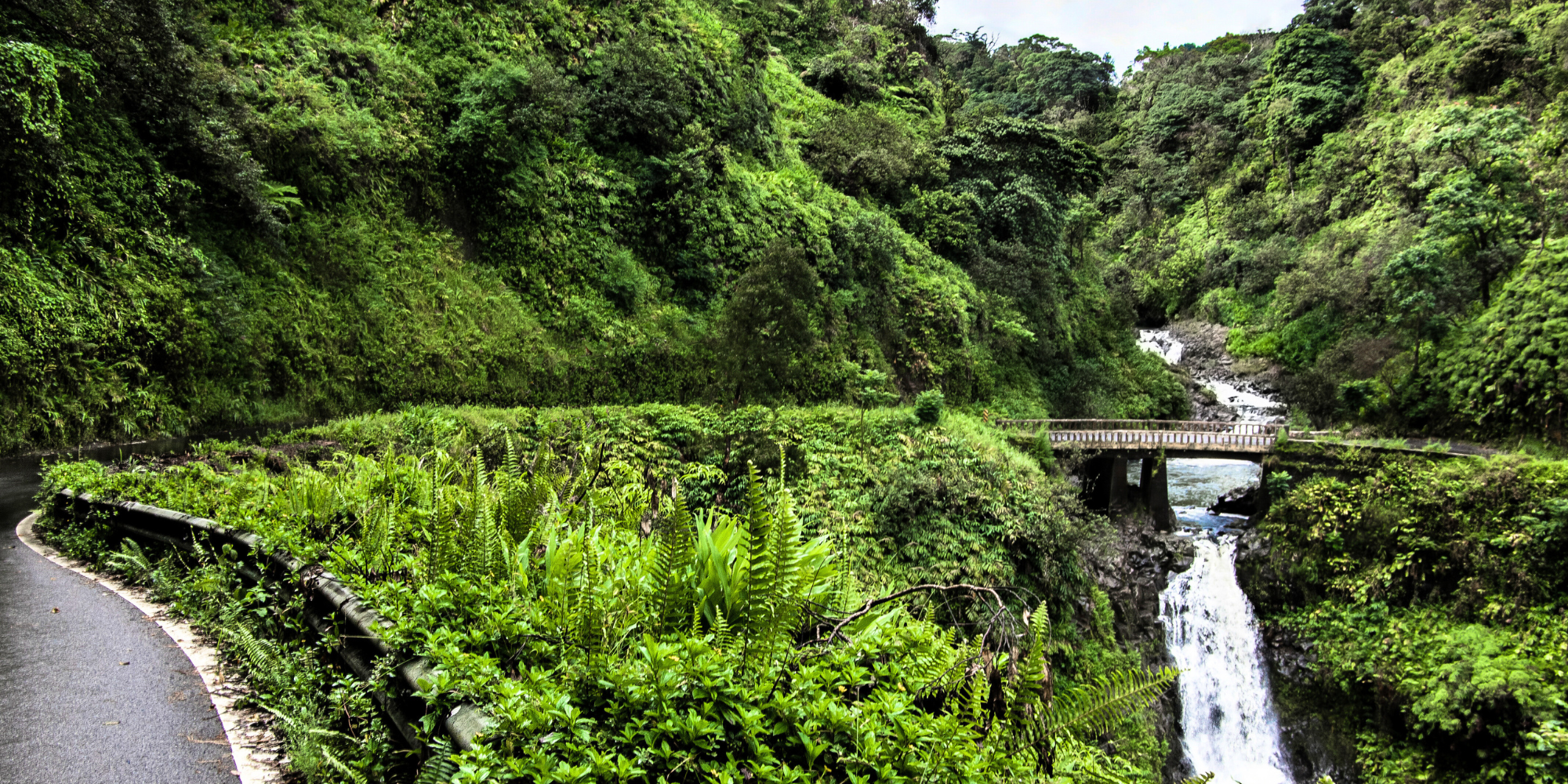 tour to hana