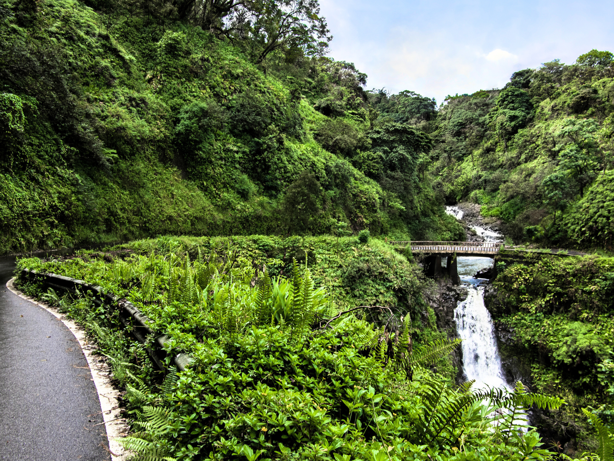 tour to hana