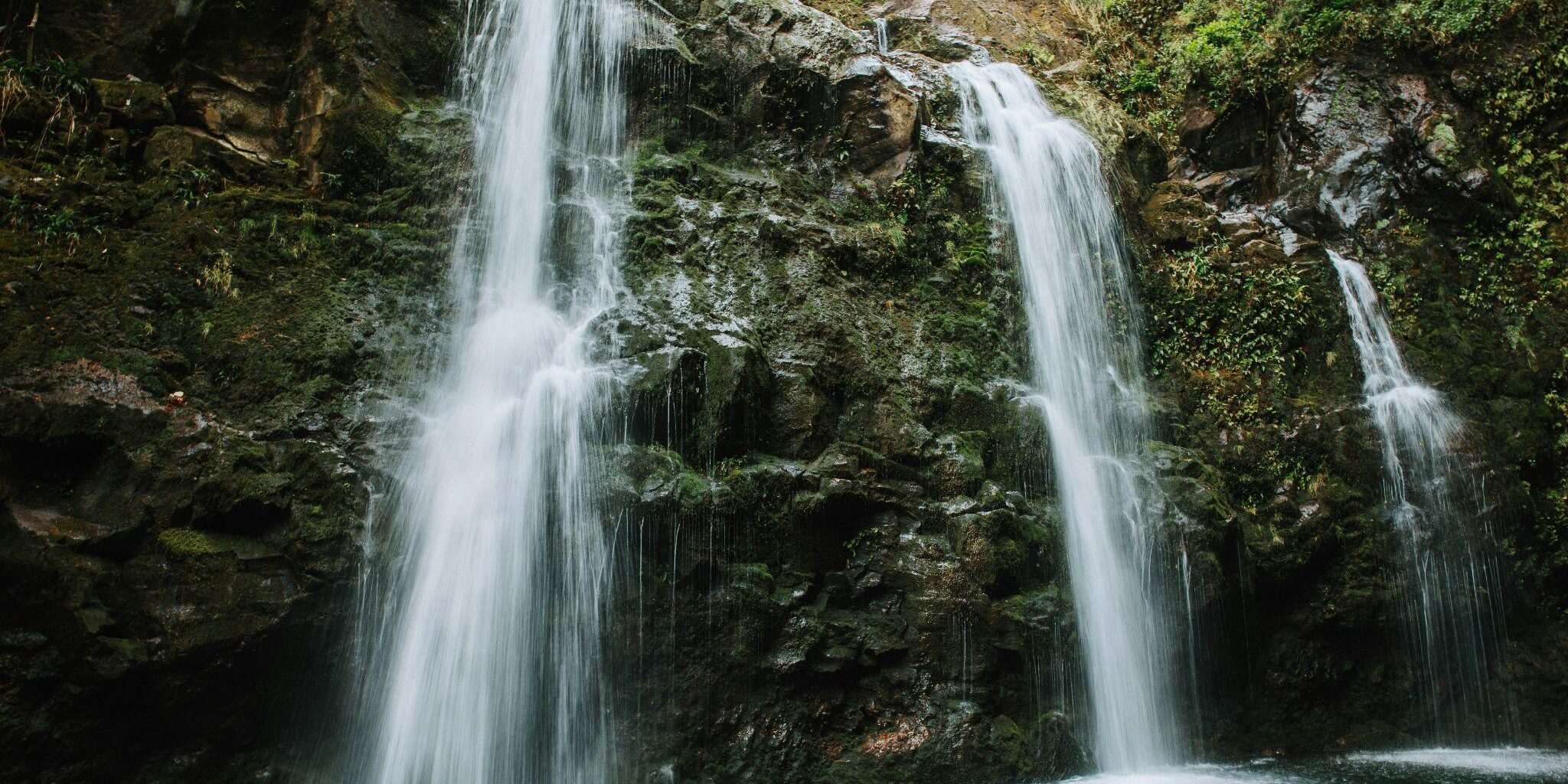 Hana Tour in Maui