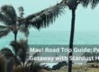 Maui Road Trip