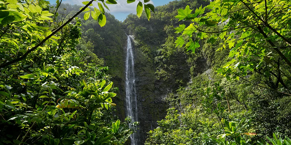 Best Waterfalls on Road to Hana