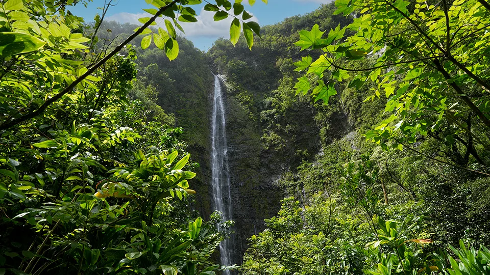 Best Waterfalls on Road to Hana