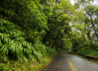 Road to Hana