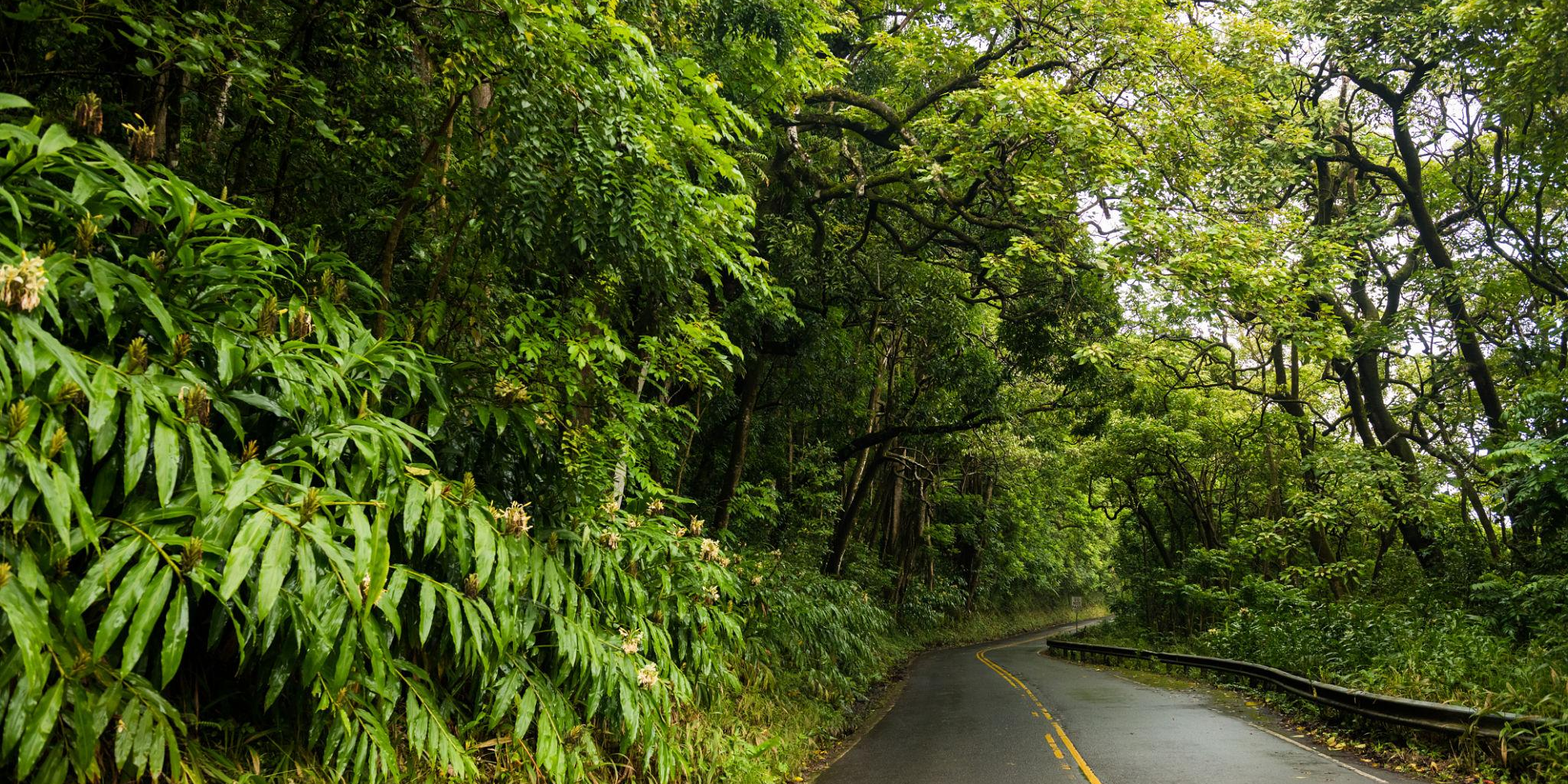 Road to Hana
