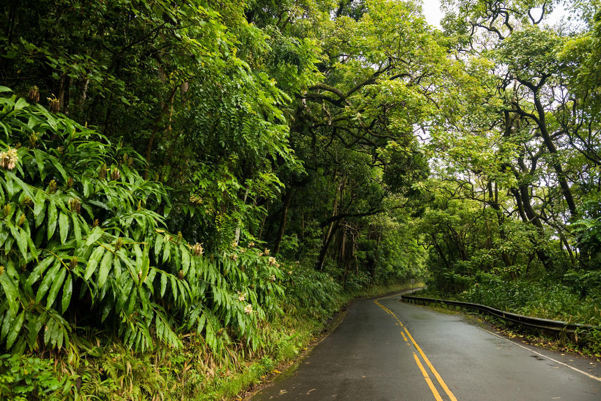 Road to Hana